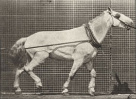 Plate 573 'Johnson' hauling, man pulling at head — figure reference